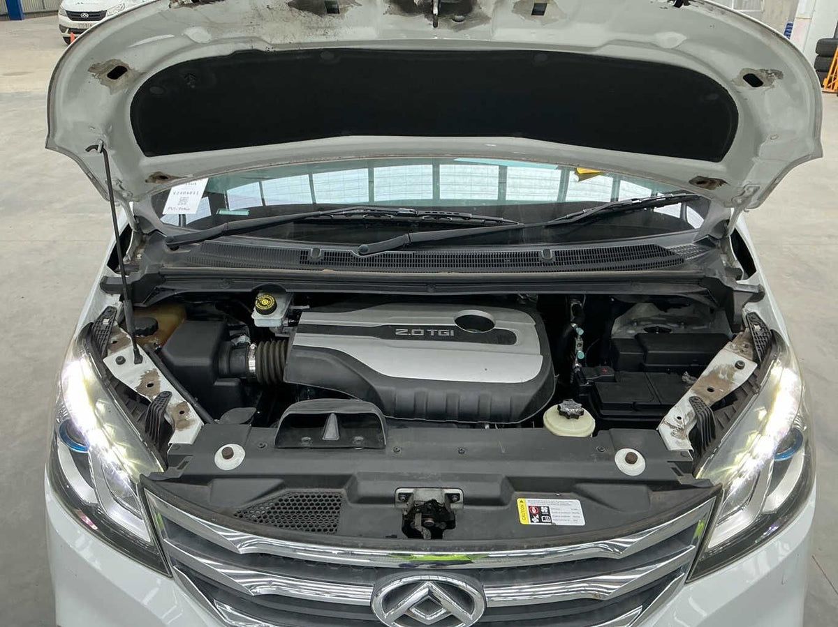 2019 LDV G10 SV7A